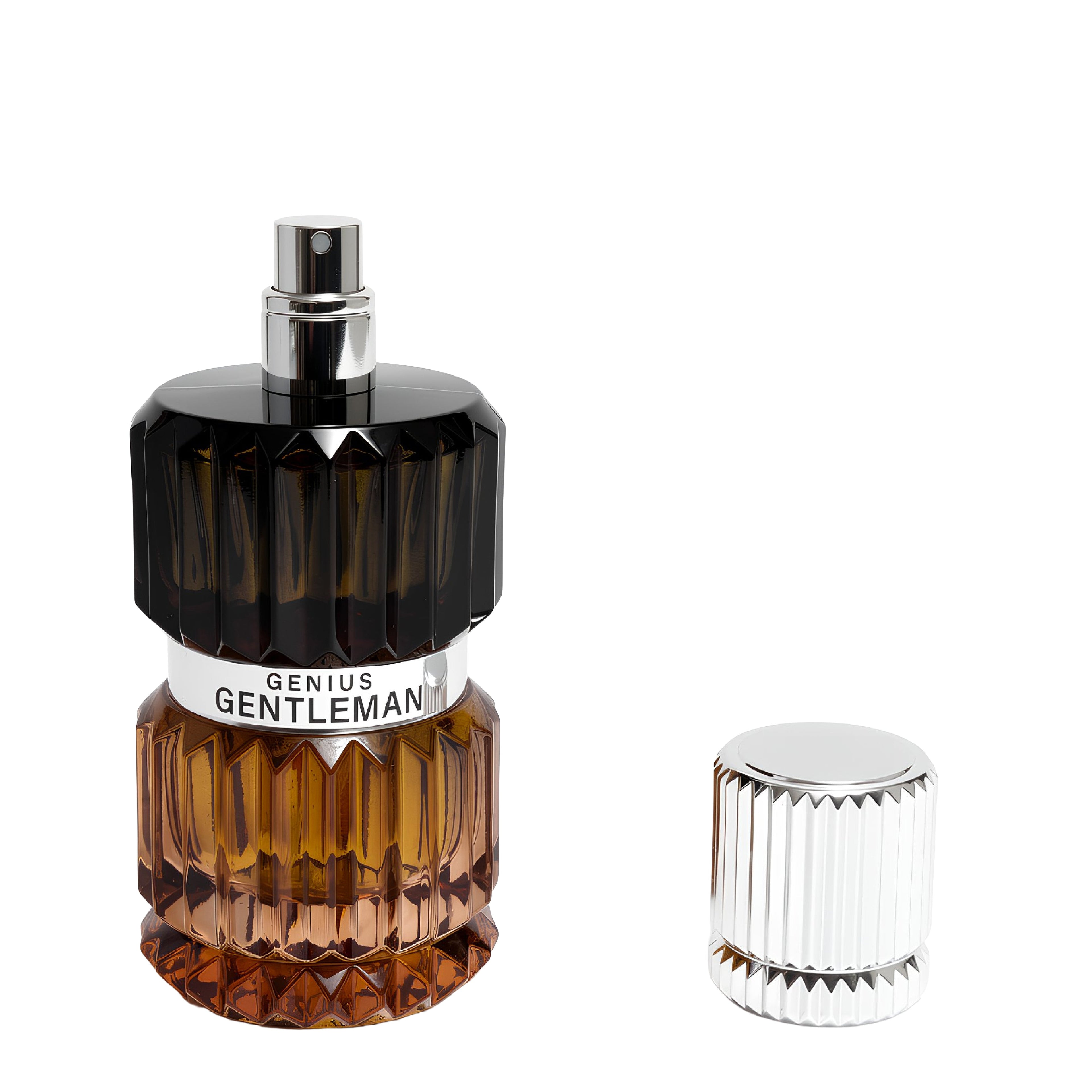 Mirada Gentleman Genius Eau De Parfum 100ml